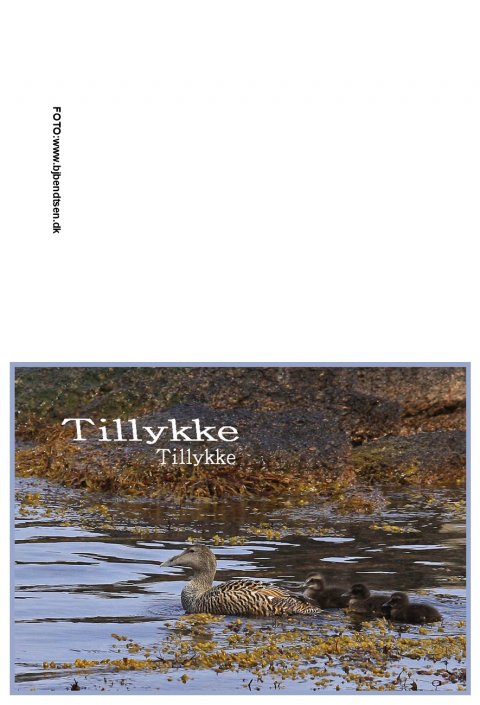 Tillykke